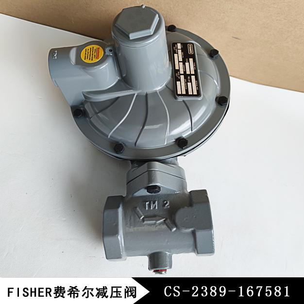 CS-2389-167581費(fèi)希爾減壓閥CS400IN-8E/C8美國進(jìn)口品牌